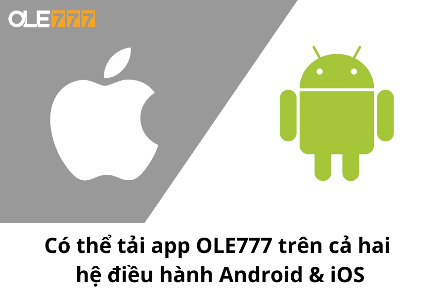Có thể tải app OLE777 trên cả hai hệ điều hành Android và iOS